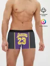 Мужские трусы боксеры / James LA Lakers 2019