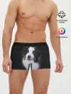 Мужские трусы боксеры / Собака
