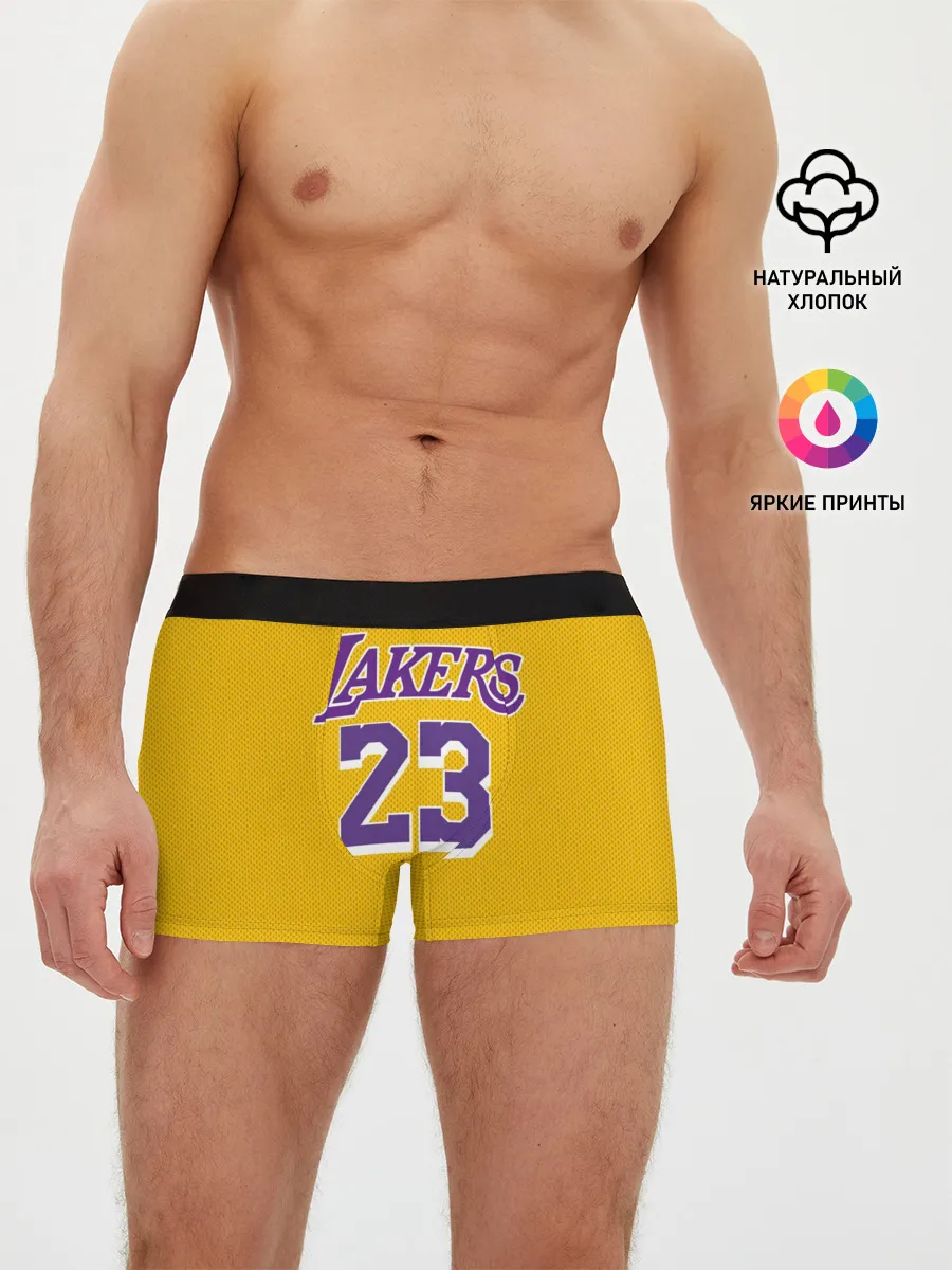 Мужские трусы боксеры / James 18-19 LA Lakers home