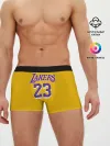 Мужские трусы боксеры / James 18-19 LA Lakers home