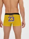 Мужские трусы боксеры / James 18-19 LA Lakers home