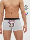Мужские трусы боксеры / James 18-19 third LA Lakers