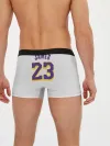 Мужские трусы боксеры / James 18-19 third LA Lakers