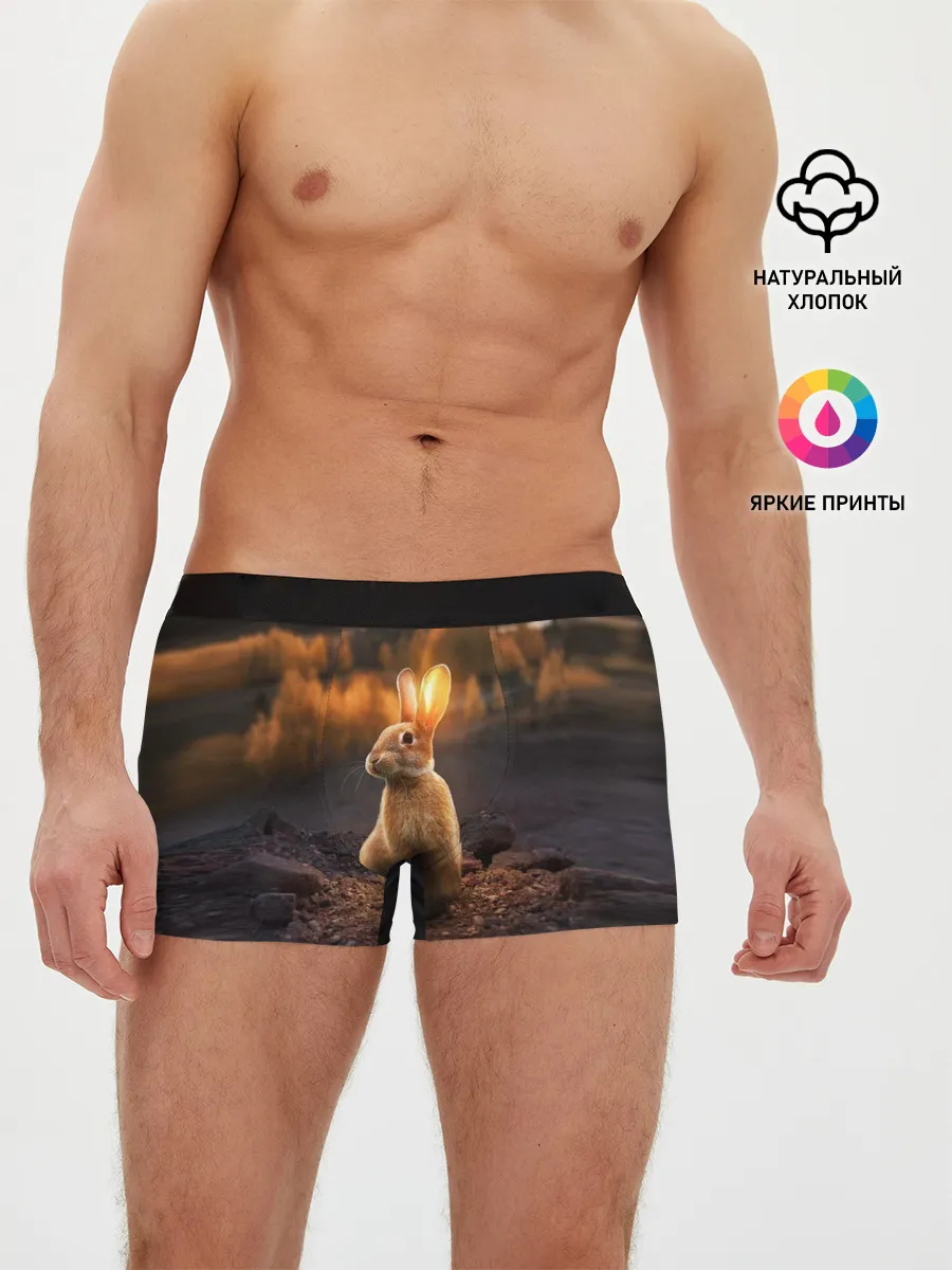 Мужские трусы боксеры / Солнечный зайчик