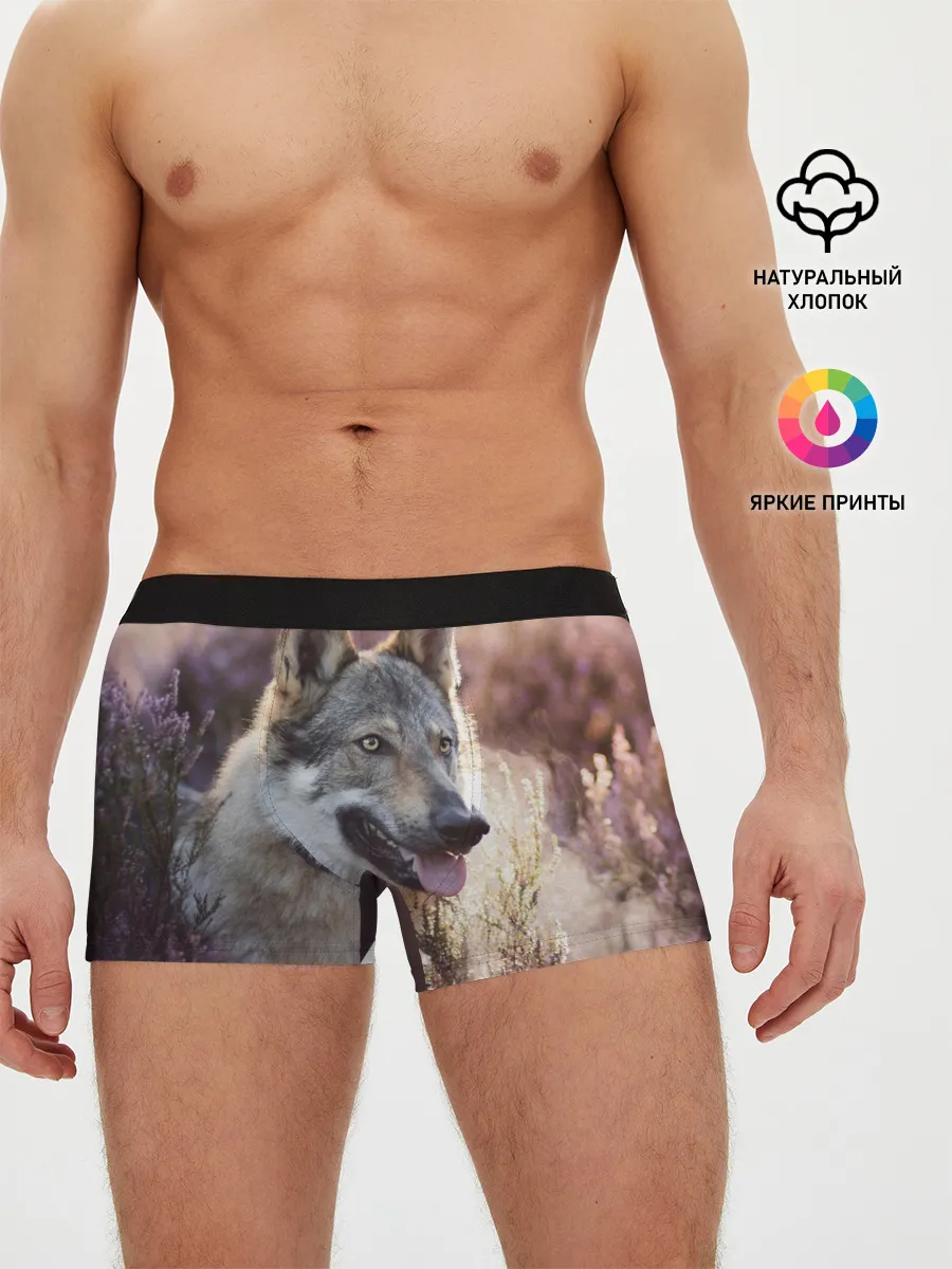 Мужские трусы боксеры / Волк
