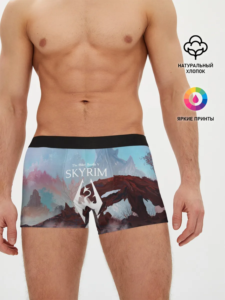 Мужские трусы боксеры / The Elder Scrolls SKYRIM