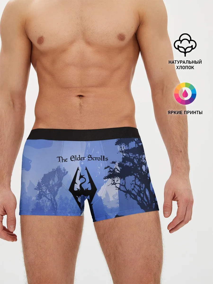 Мужские трусы боксеры / The Elder Scrolls