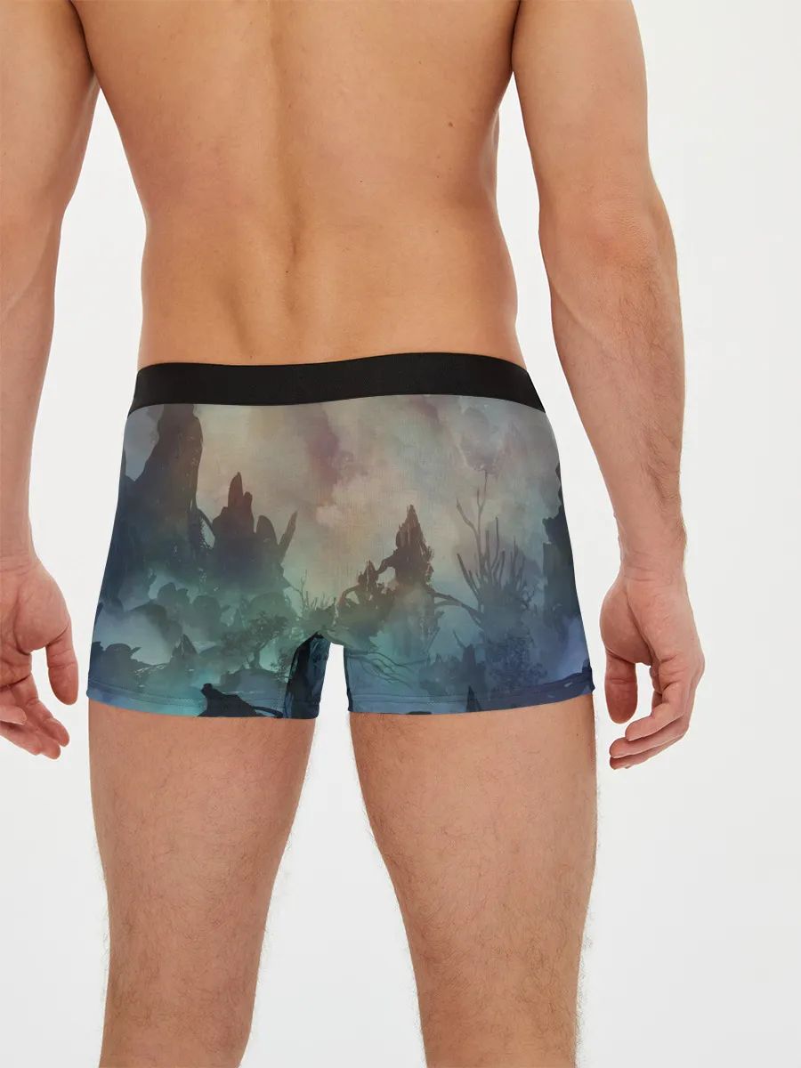 Мужские трусы боксеры / The Elder Scrolls SKYRIM