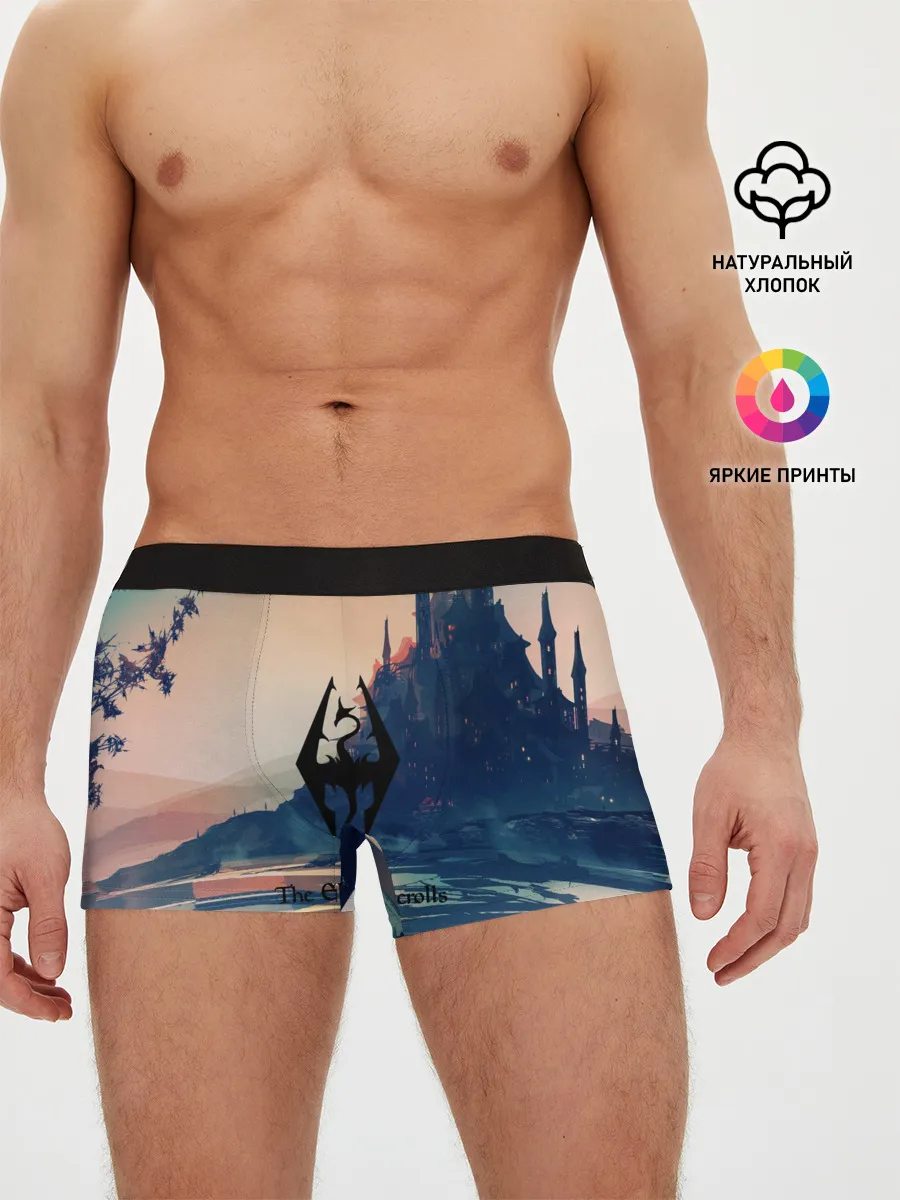 Мужские трусы боксеры / The Elder Scrolls