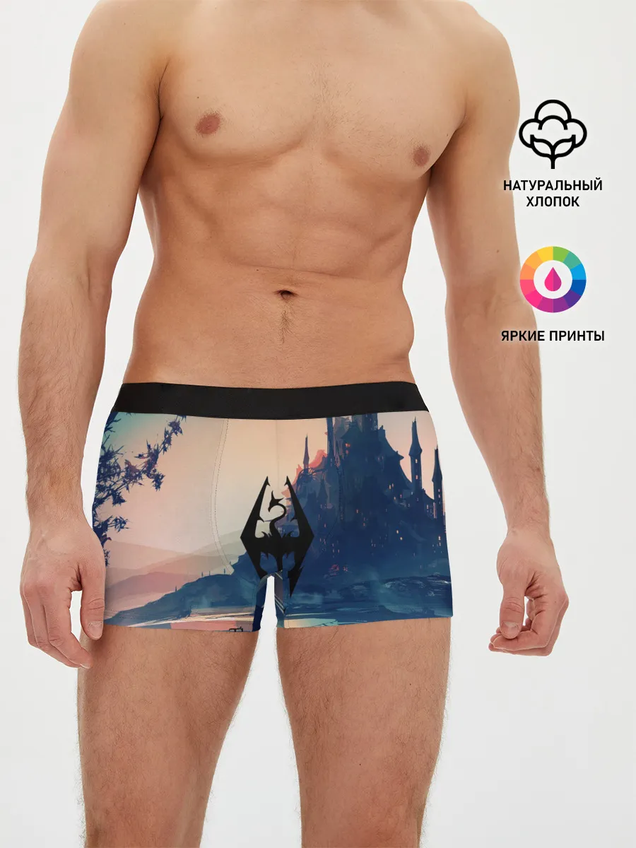 Мужские трусы боксеры / The Elder Scrolls