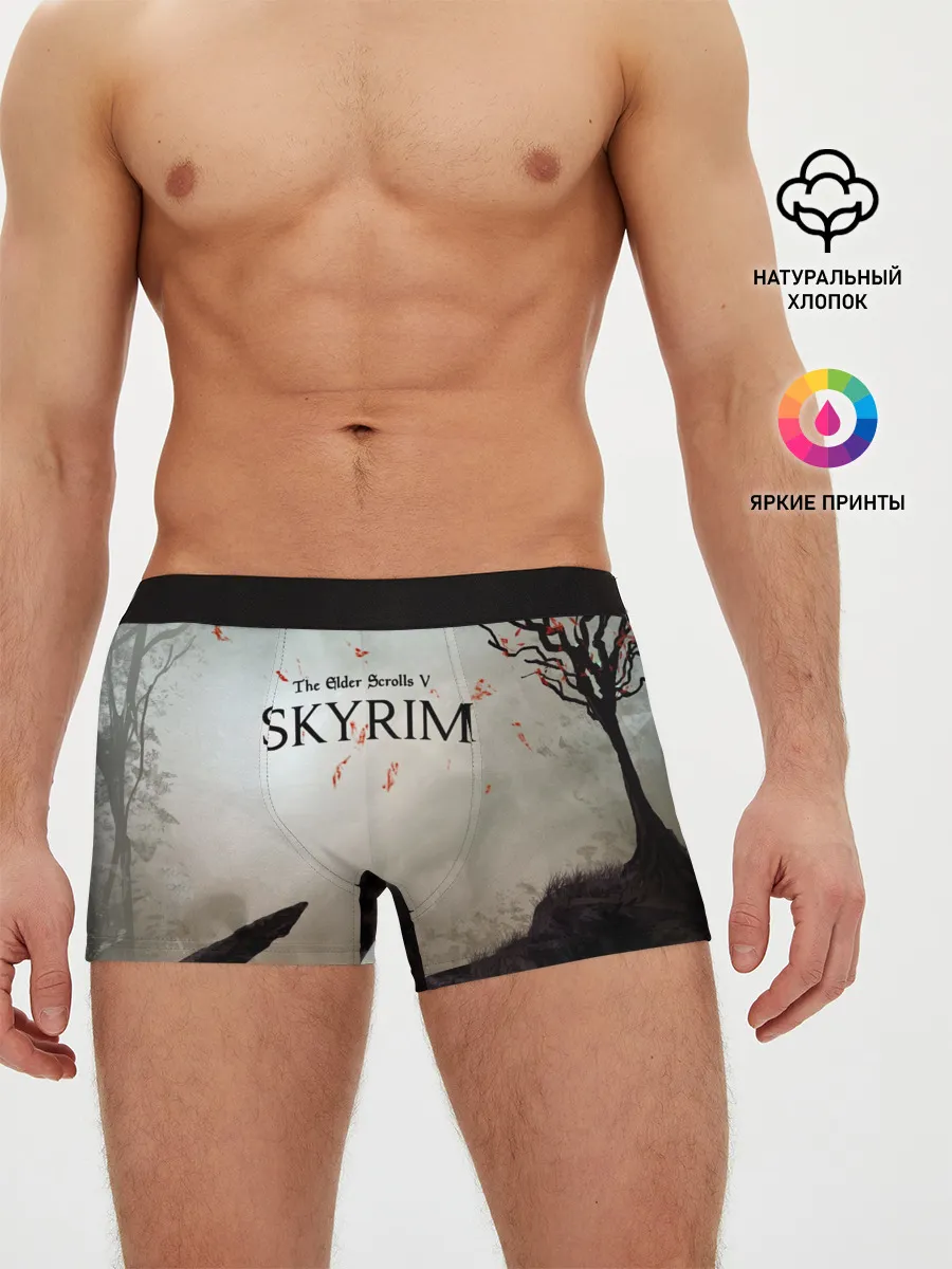 Мужские трусы боксеры / The Elder Scrolls SKYRIM 5