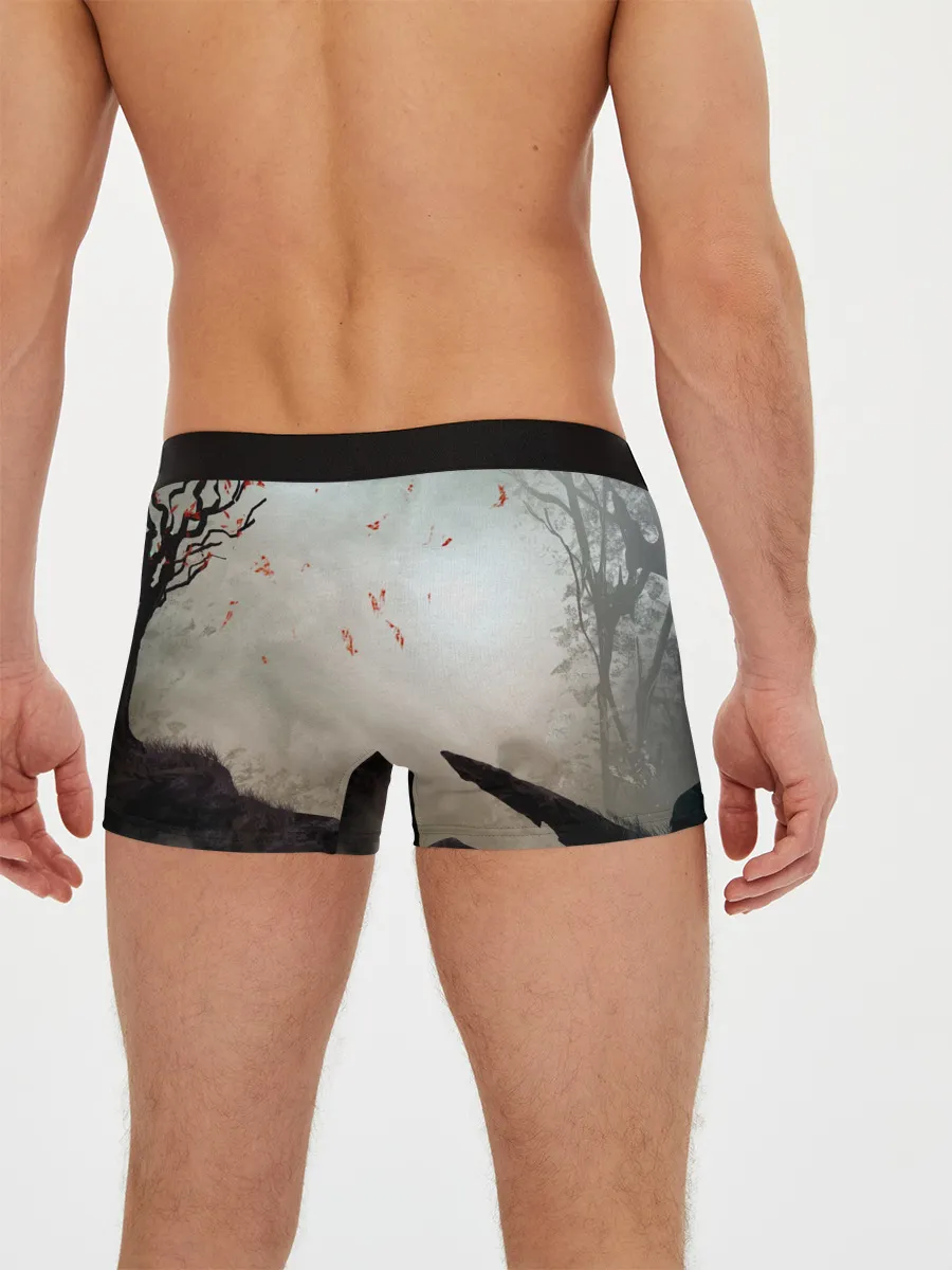 Мужские трусы боксеры / The Elder Scrolls SKYRIM 5