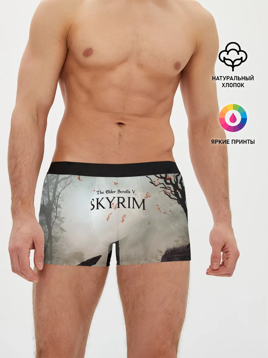 Мужские трусы боксеры / The Elder Scrolls SKYRIM 5