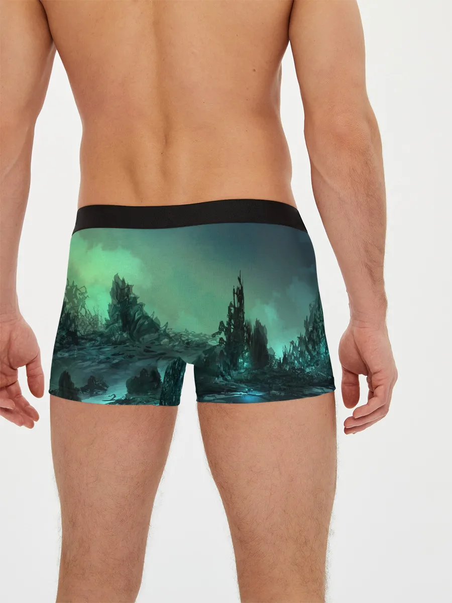 Мужские трусы боксеры / SKYRIM