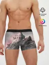 Мужские трусы боксеры / The Elder Scrolls Skyrim