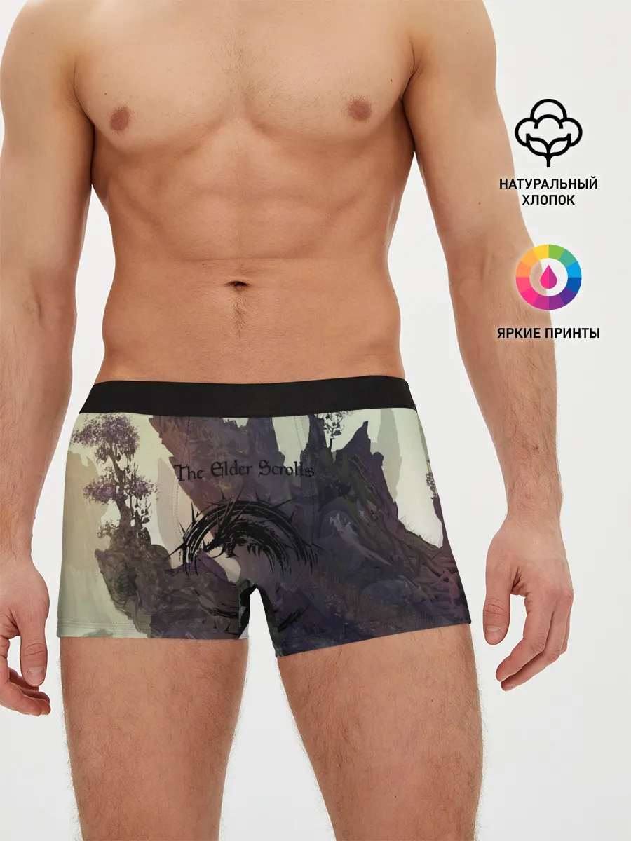 Мужские трусы боксеры / The Elder Scrolls