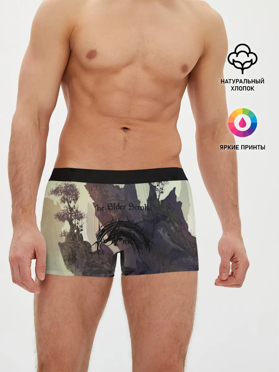 Мужские трусы боксеры / The Elder Scrolls