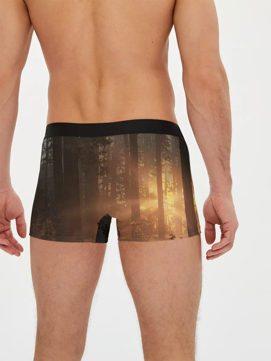 Мужские трусы боксеры / Life is Strange 2