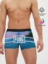 Мужские трусы боксеры / PUBG light blue