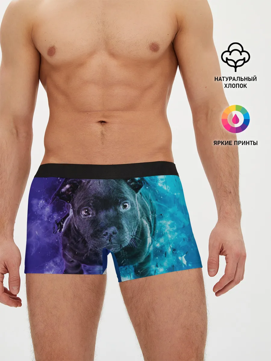 Мужские трусы боксеры / Милый пёс