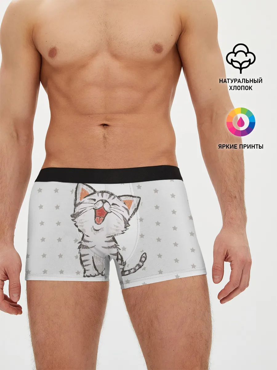 Мужские трусы боксеры / Милейший Котик