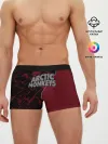 Мужские трусы боксеры / Arctic Monkeys