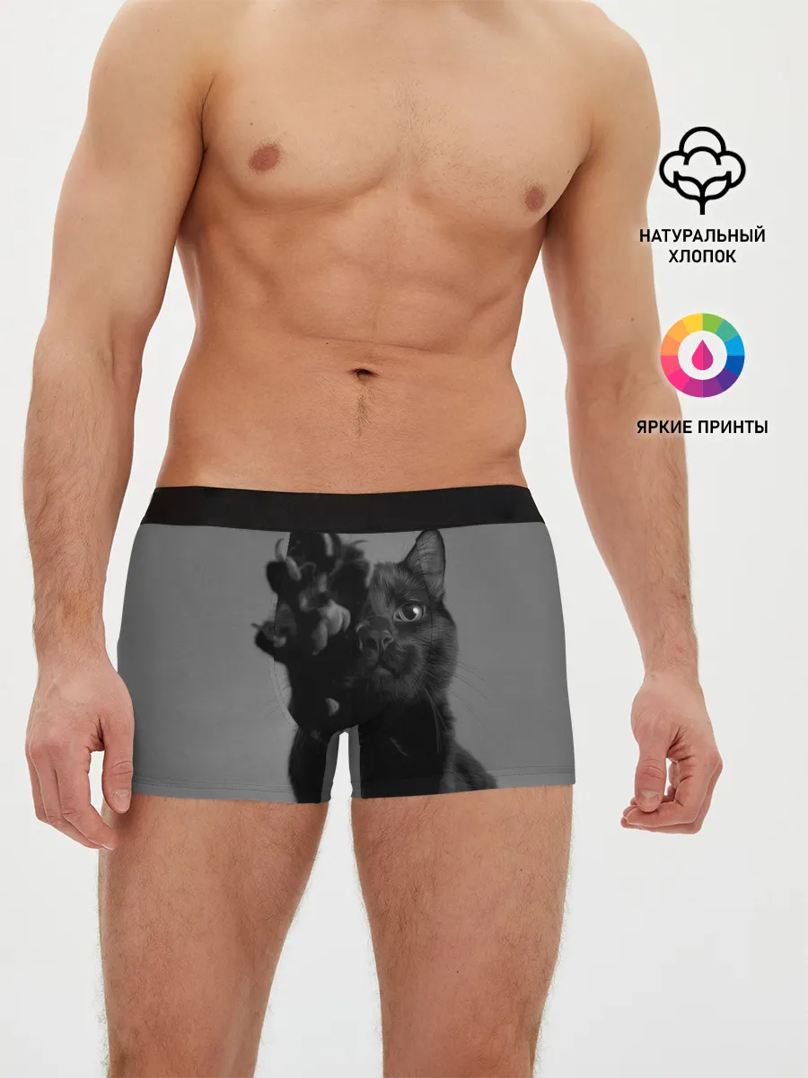 Мужские трусы боксеры / Котик