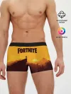 Мужские трусы боксеры / Fortnite Save the World
