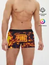 Мужские трусы боксеры / PUBG