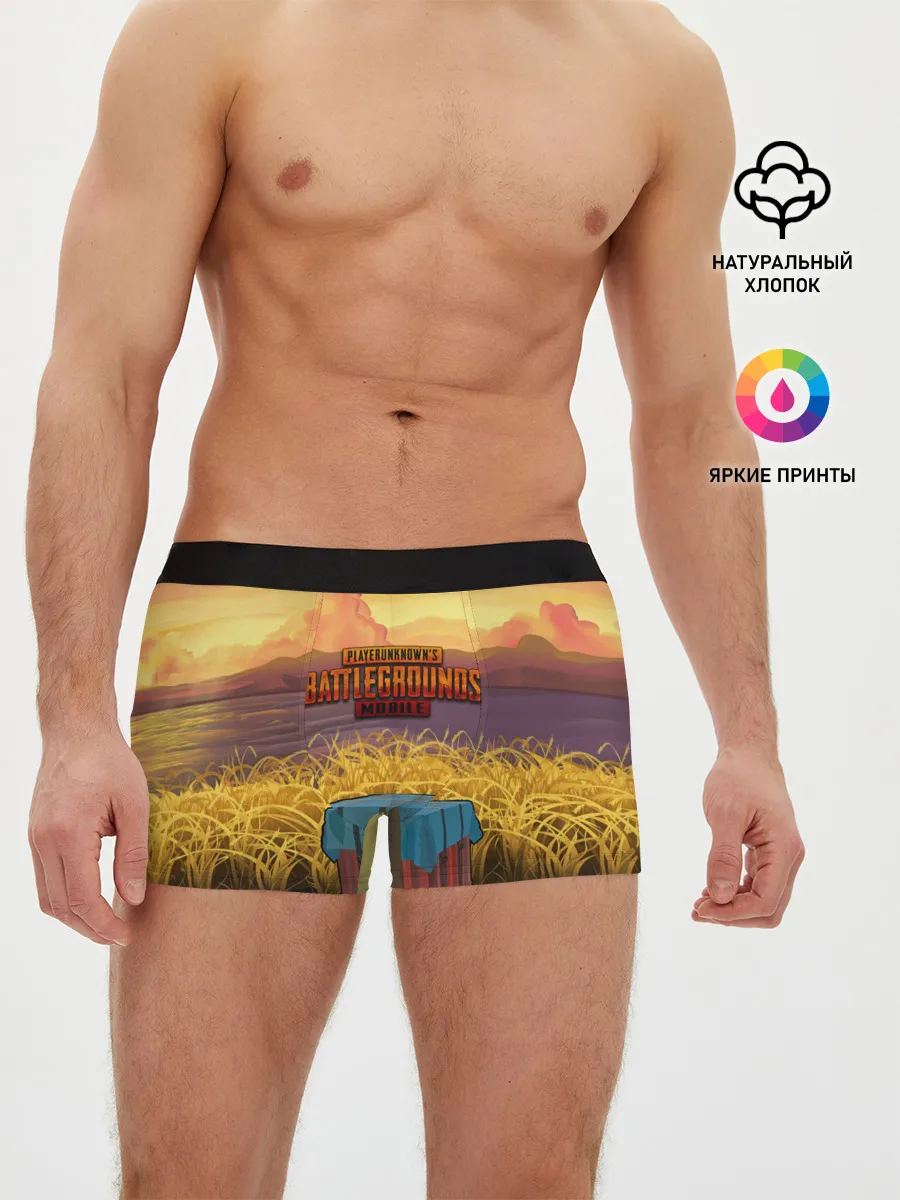 Мужские трусы боксеры / PUBG MOBILE