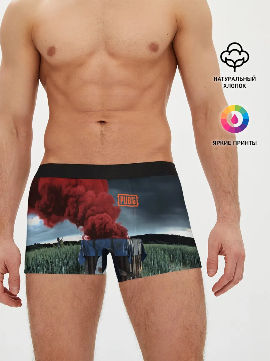 Мужские трусы боксеры / PUBG