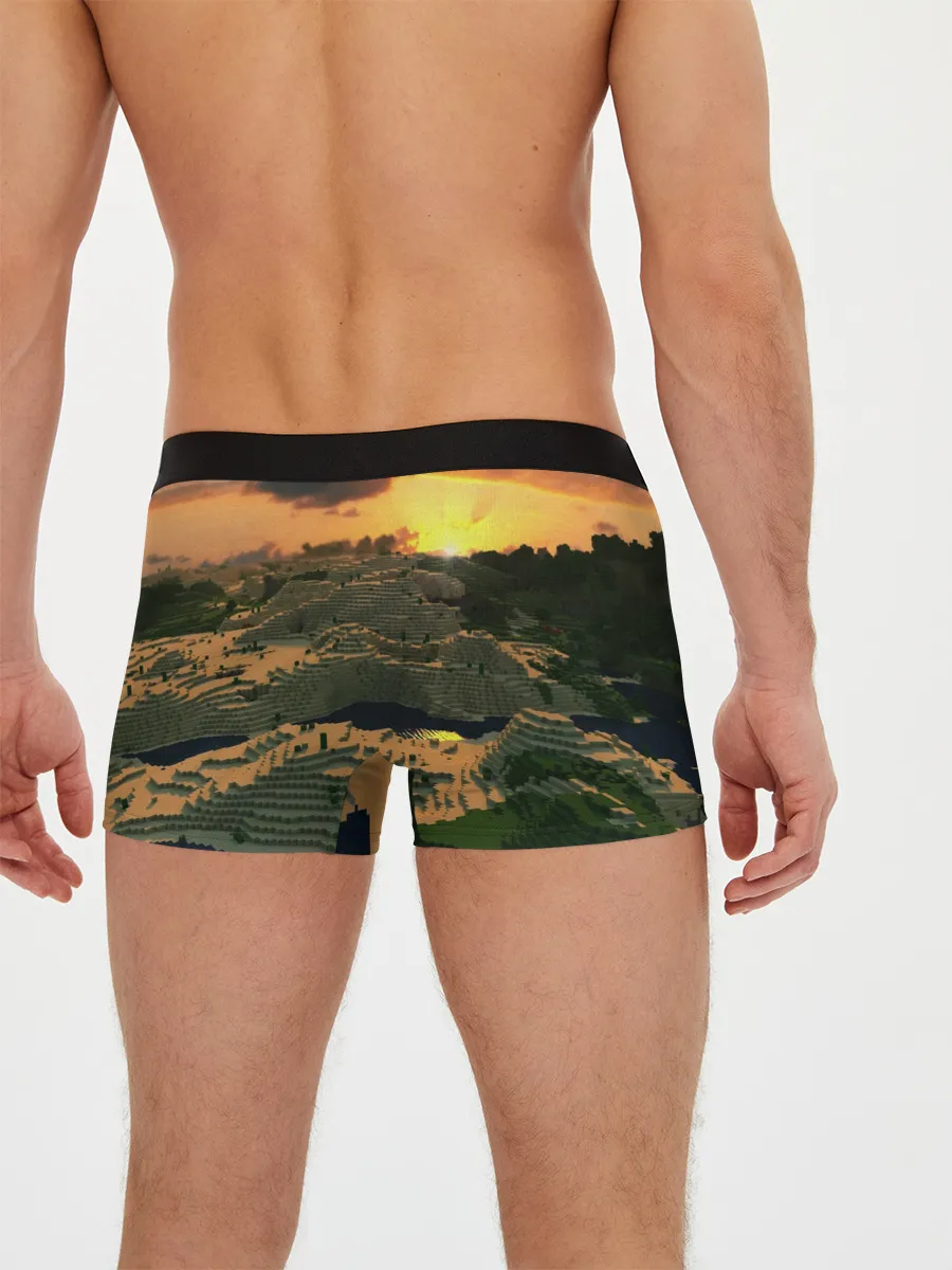 Мужские трусы боксеры / MINECRAFT