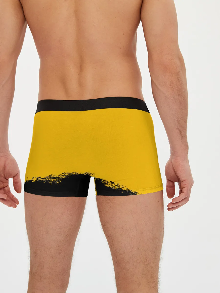 Мужские трусы боксеры / TWENTY ONE PILOTS / TOP