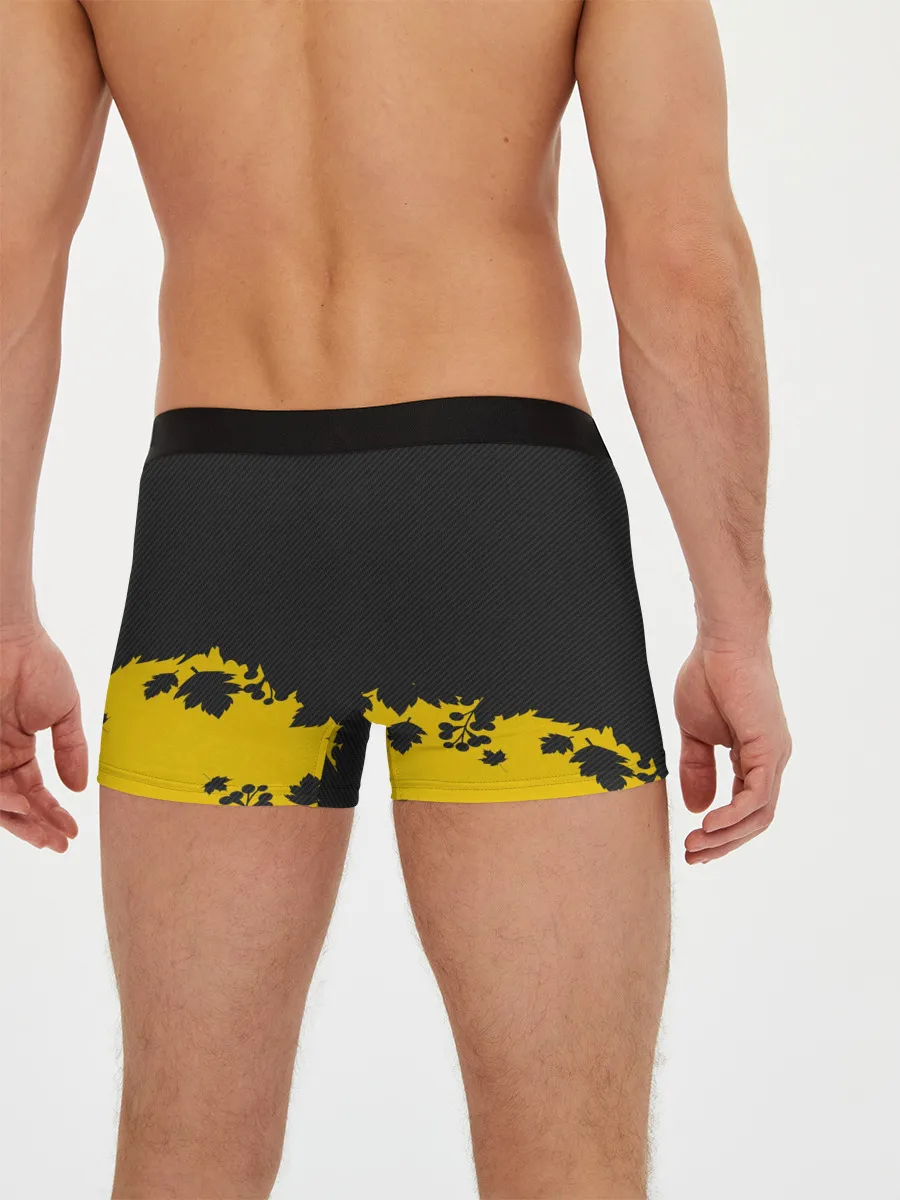 Мужские трусы боксеры / TWENTY ONE PILOTS.