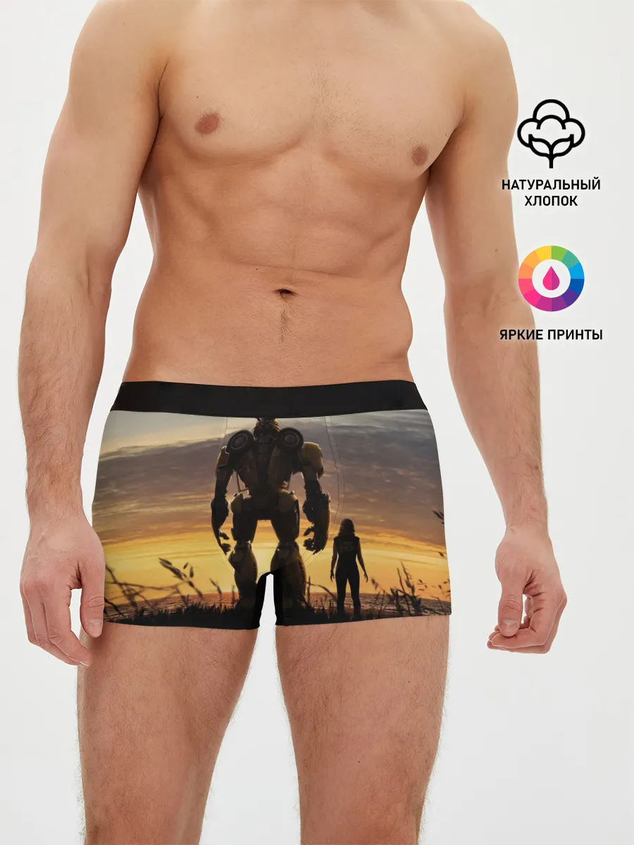 Мужские трусы боксеры / Бамблби и Чарли на закате