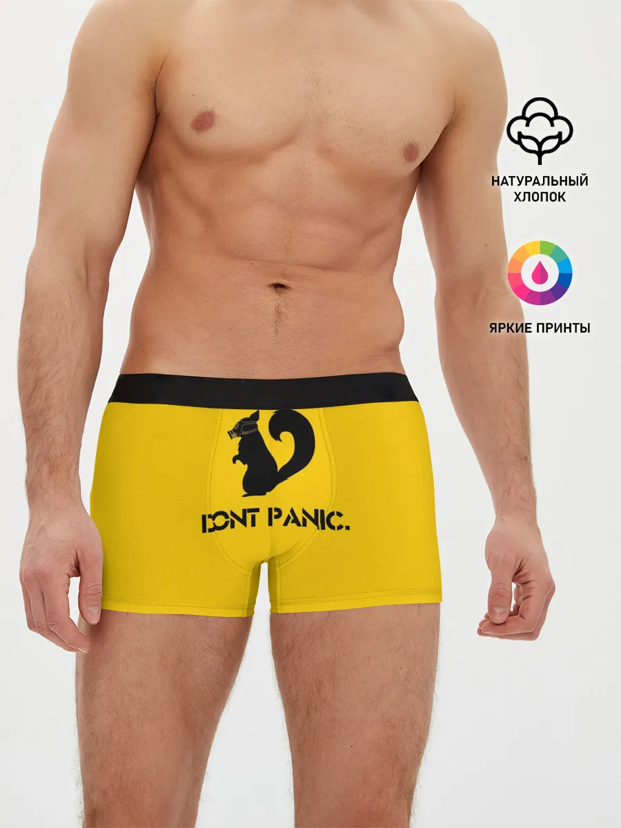 Мужские трусы боксеры / Dont Panic.