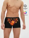 Мужские трусы боксеры / Огненные цветы в темноте