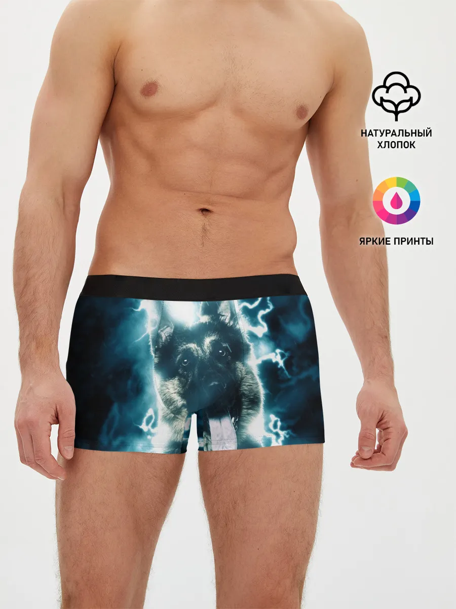 Мужские трусы боксеры / Немецкая овчарка