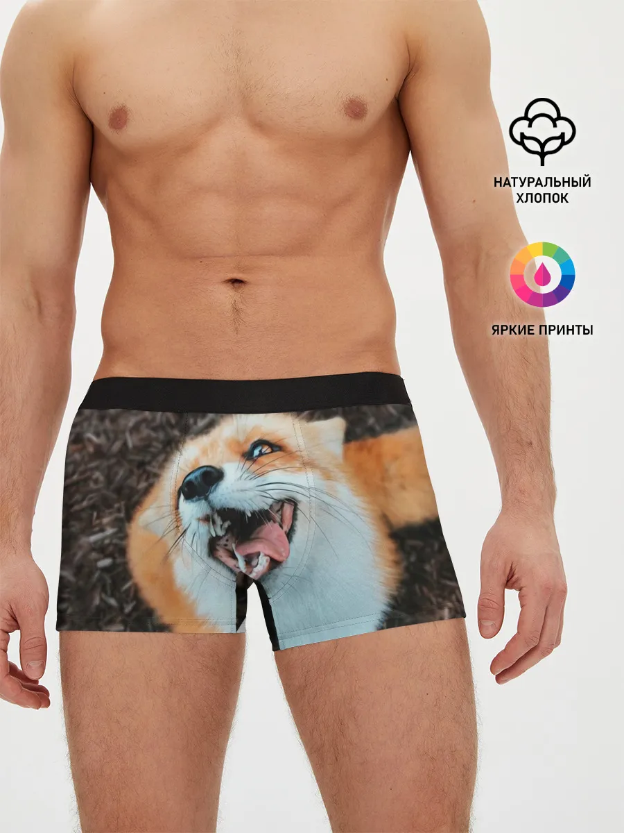 Мужские трусы боксеры / Довольная лиса
