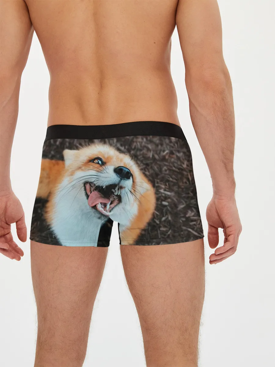 Мужские трусы боксеры / Довольная лиса