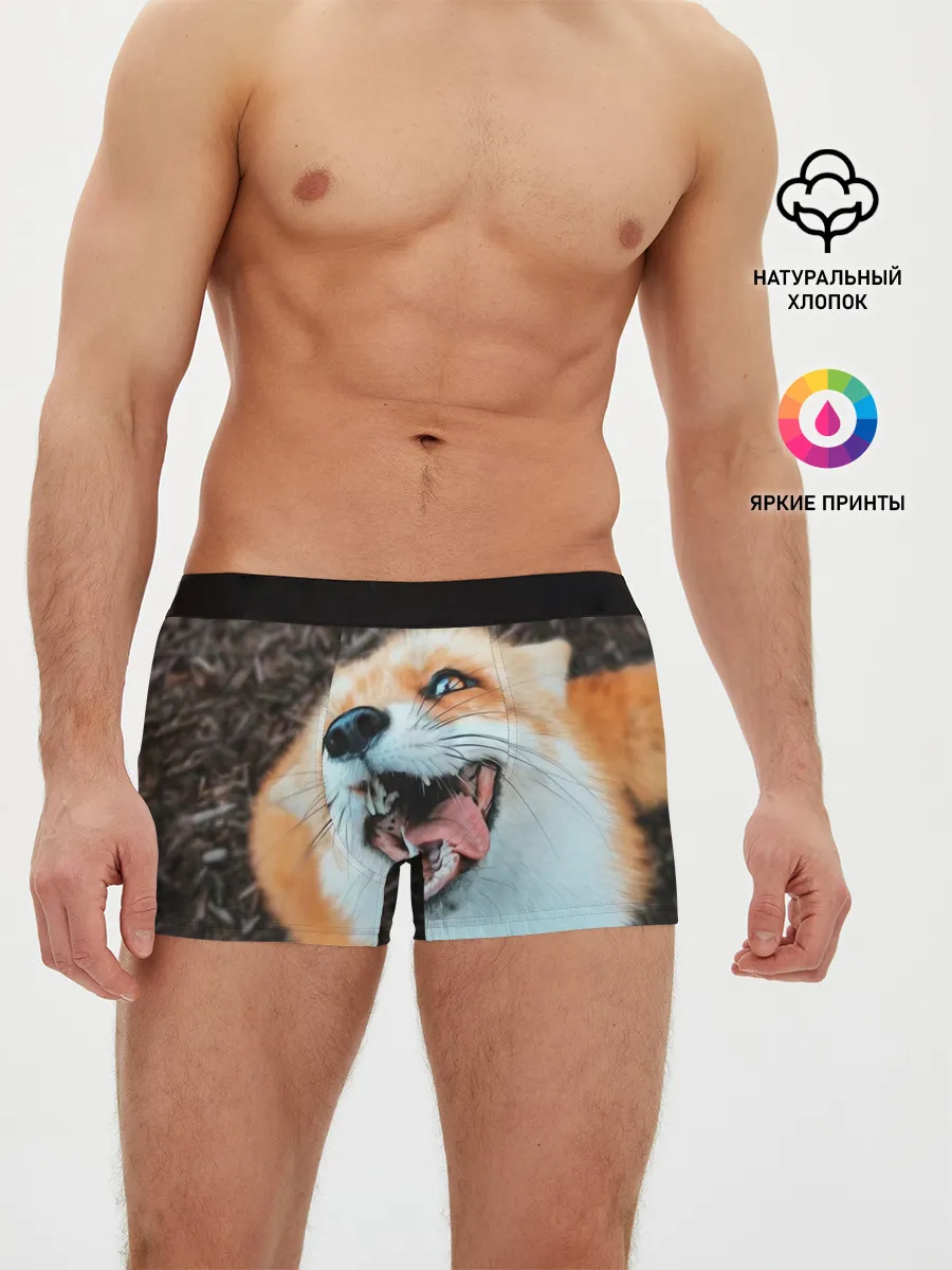 Мужские трусы боксеры / Довольная лиса