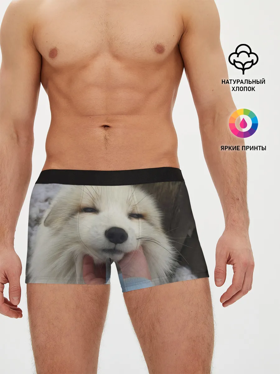 Мужские трусы боксеры / Лисенок