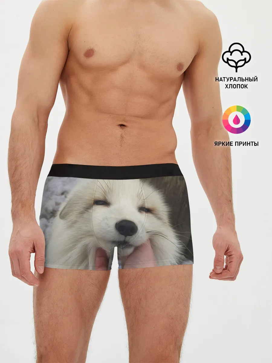 Мужские трусы боксеры / Лисенок