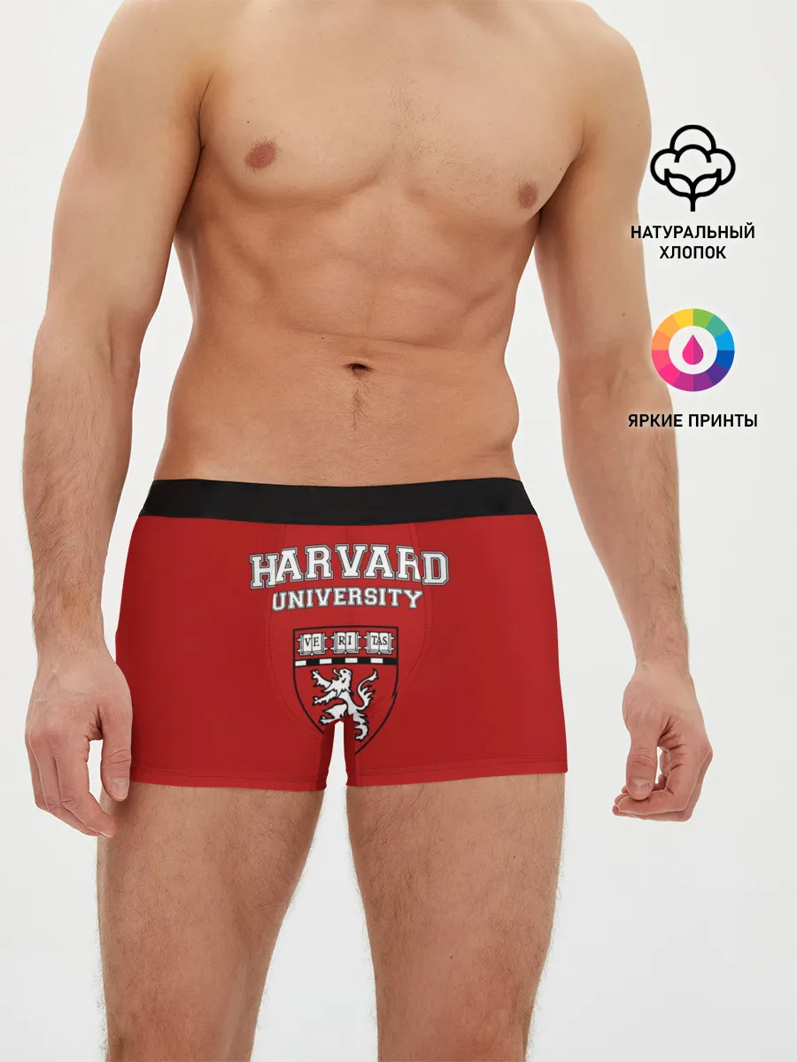 Мужские трусы боксеры / HARVARD