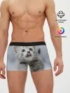 Мужские трусы боксеры / Котенок