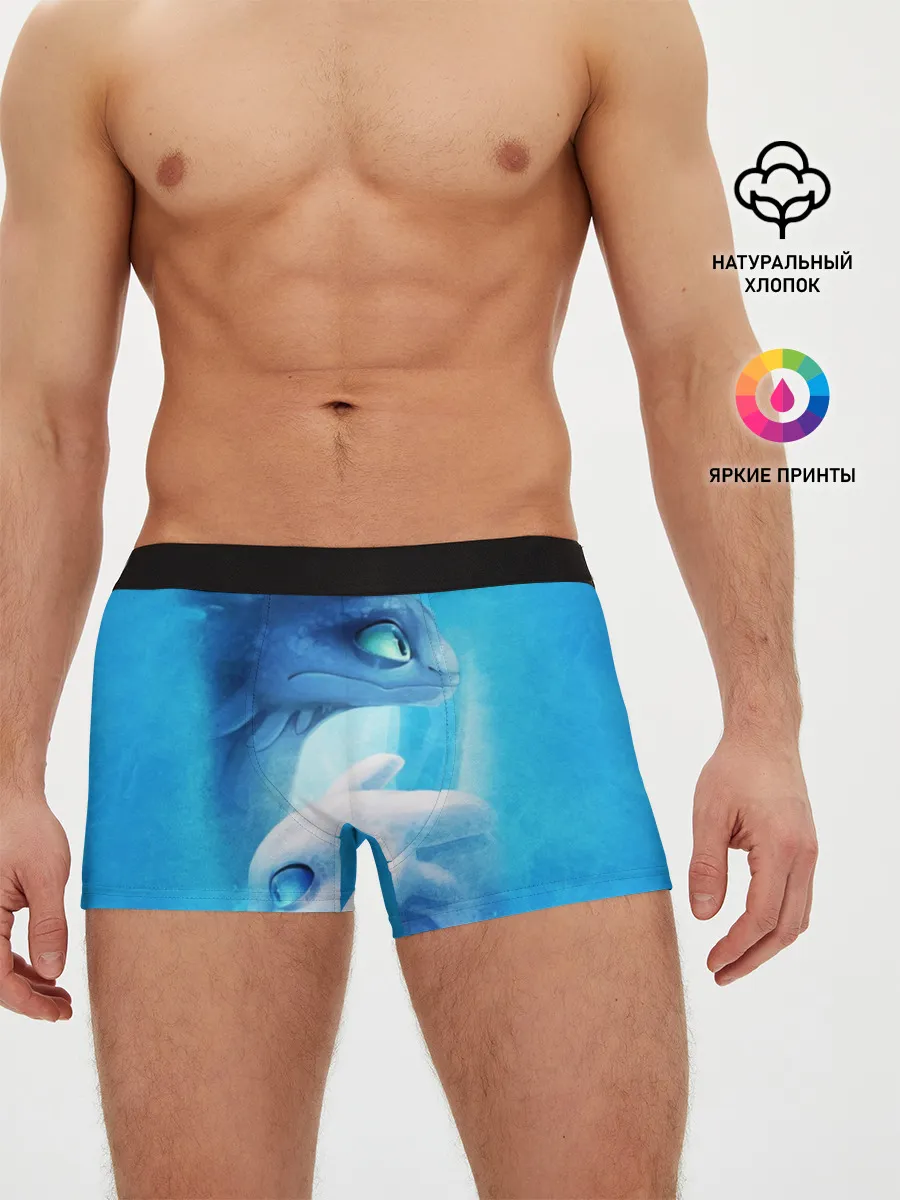 Мужские трусы боксеры / как приручить дракона