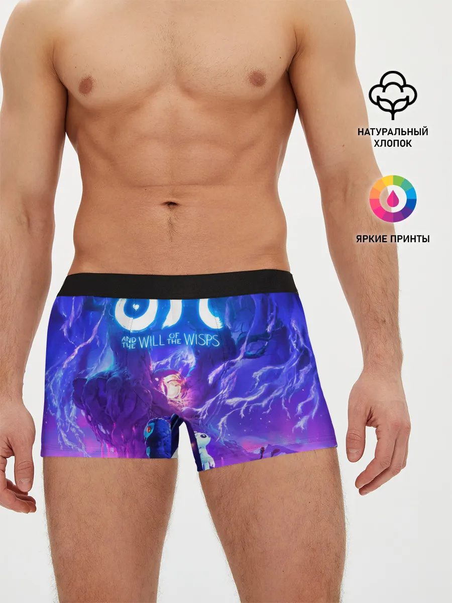Мужские трусы боксеры / Ori - And The Will Of The Wisp