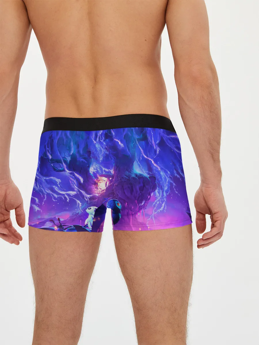 Мужские трусы боксеры / Ori - And The Will Of The Wisp