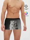 Мужские трусы боксеры / Кот и мышка