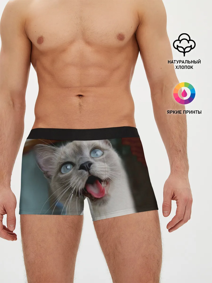Мужские трусы боксеры / Сиамский котенок